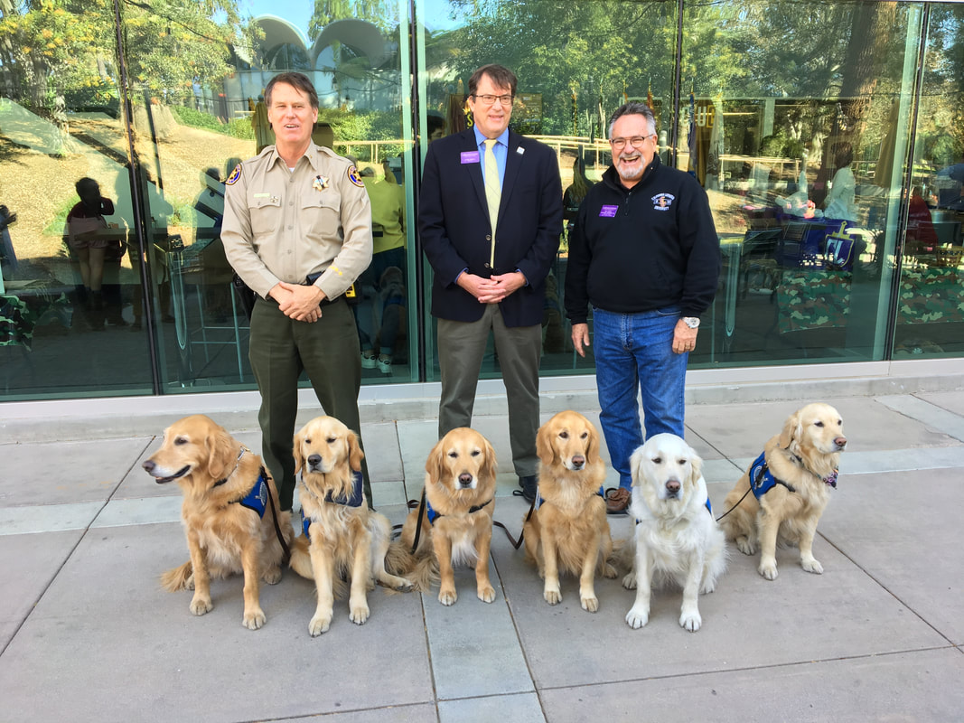 Sheriff with Comfort Dog Golden Retrievers