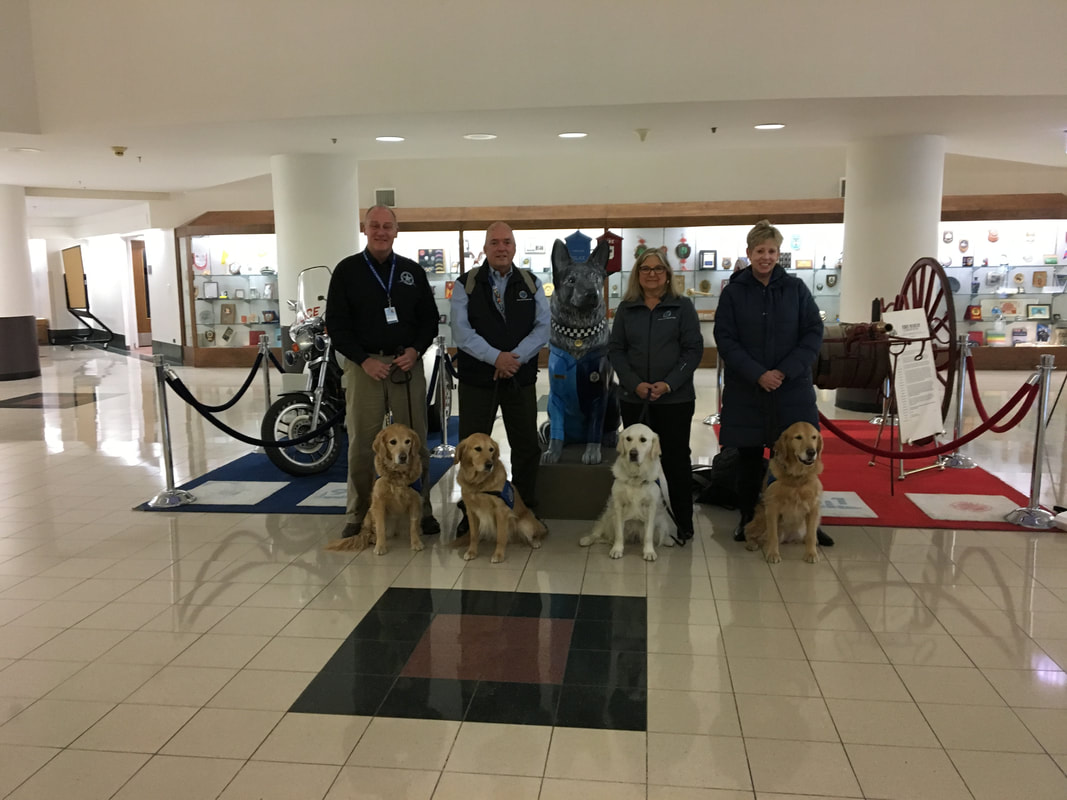group of comfort dogs with handlers following mercy hospital shootings