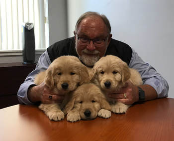golden retriever puppies with president of a charity