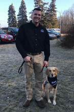 police officer dog handler with golden retriever comfort dog