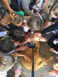 a group of students hugging a golden retriever