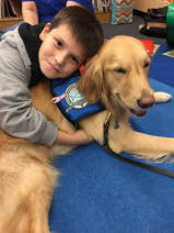 a golden retriever comfort dog receiving a hug